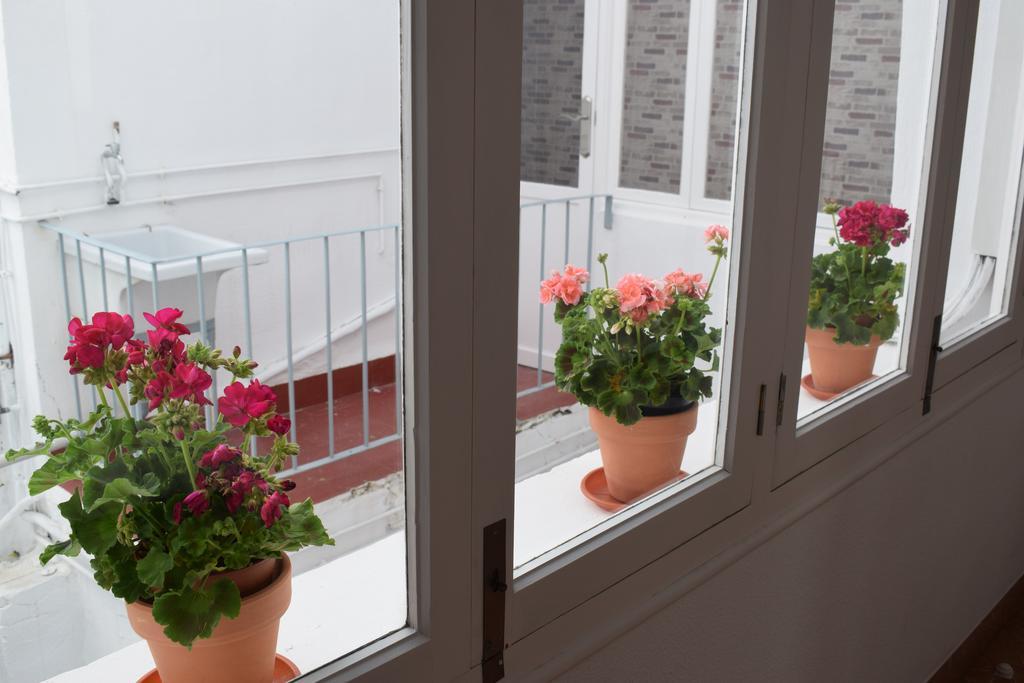 Apartamento San Pascual En Orihuela Exteriér fotografie